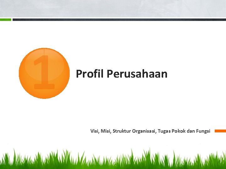 1 Profil Perusahaan Visi, Misi, Struktur Organisasi, Tugas Pokok dan Fungsi 