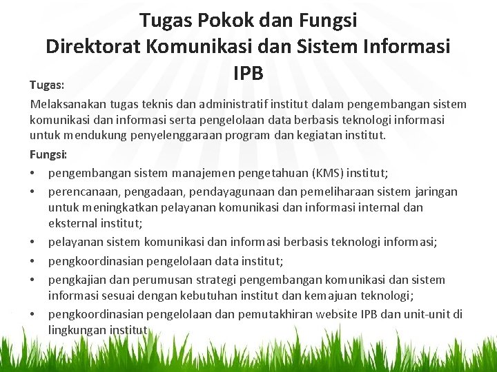 Tugas Pokok dan Fungsi Direktorat Komunikasi dan Sistem Informasi IPB Tugas: Melaksanakan tugas teknis