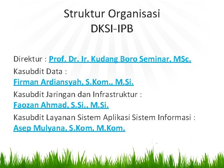 Struktur Organisasi DKSI-IPB Direktur : Prof. Dr. Ir. Kudang Boro Seminar, MSc. Kasubdit Data