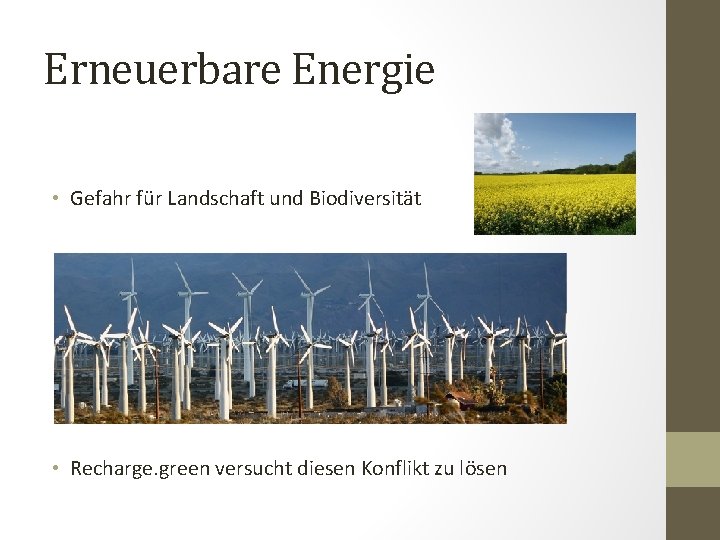 Erneuerbare Energie • Gefahr für Landschaft und Biodiversität • Recharge. green versucht diesen Konflikt