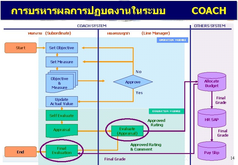 การบรหารผลการปฏบตงานในระบบ COACH SYSTEM พนกงาน (Subordinate) COACH OTHERS SYSTEM ผบงคบบญชา (Line Manager) OPERATION MODULE Start