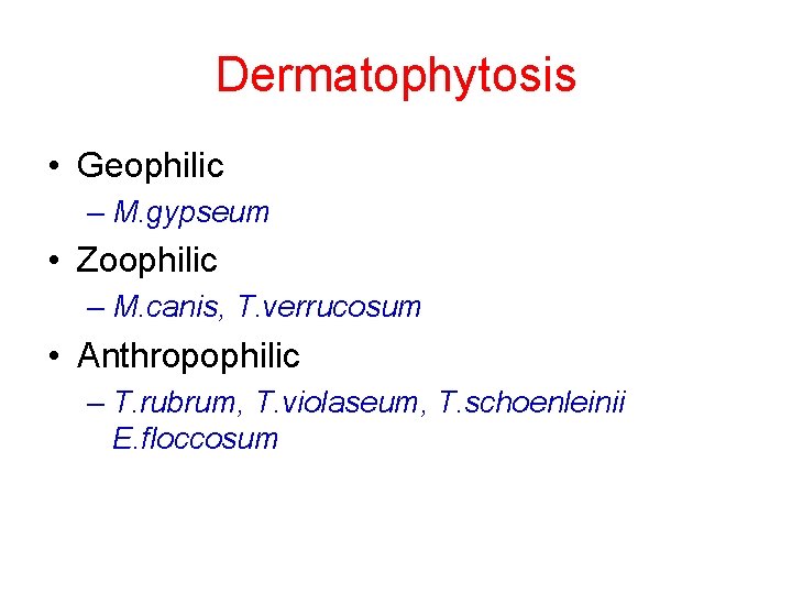 Dermatophytosis • Geophilic – M. gypseum • Zoophilic – M. canis, T. verrucosum •