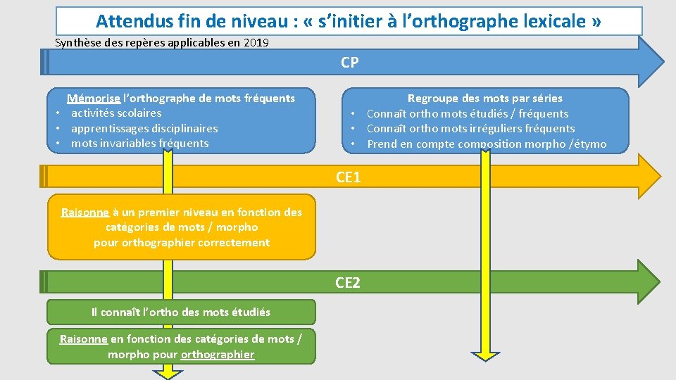 Attendus fin de niveau : « s’initier à l’orthographe lexicale » Synthèse des repères