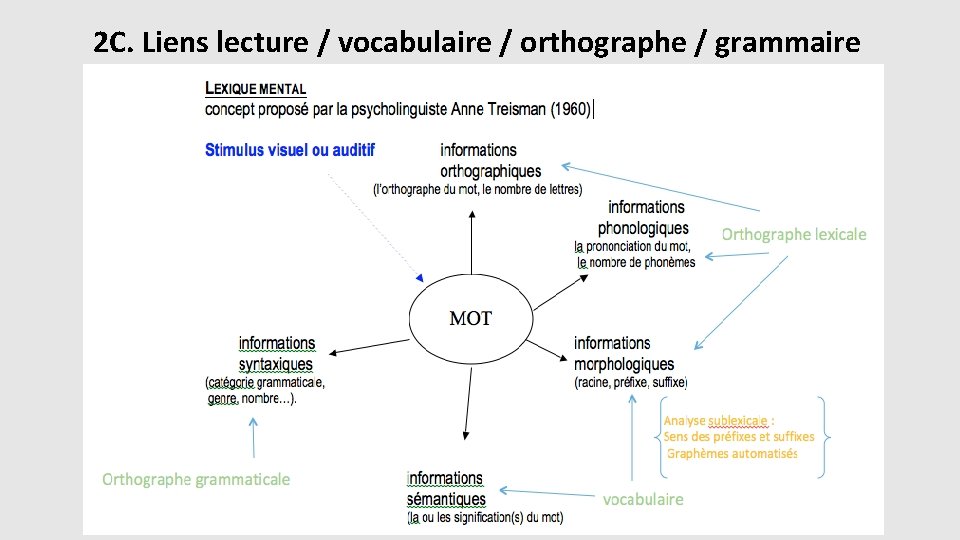 2 C. Liens lecture / vocabulaire / orthographe / grammaire 