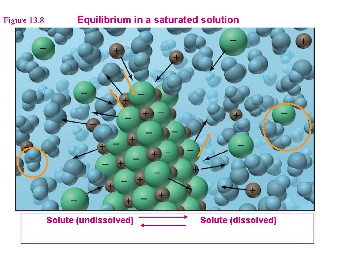 Figure 13. 8 Equilibrium in a saturated solution Solute (undissolved) Solute (dissolved) 