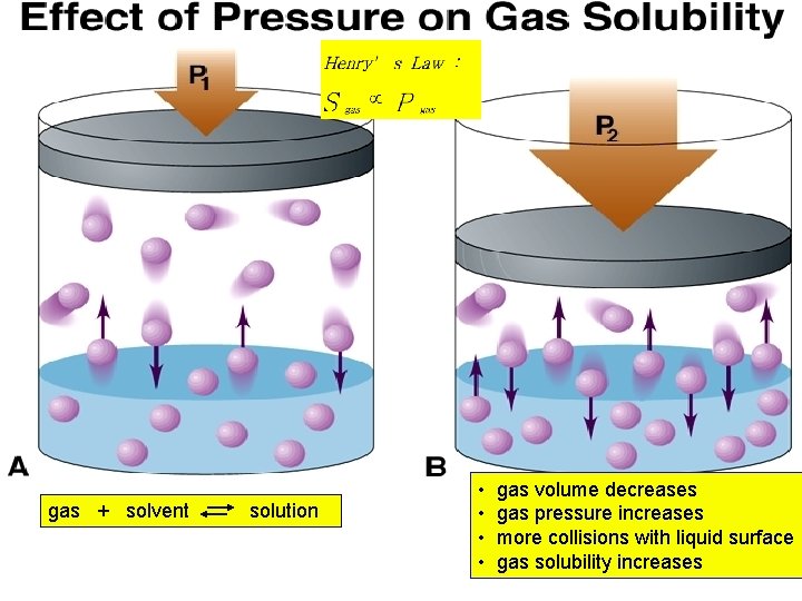 gas + solvent solution • • gas volume decreases gas pressure increases more collisions