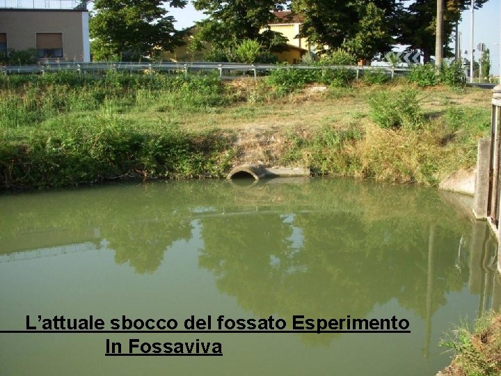 L’attuale sbocco del fossato Esperimento In Fossaviva 