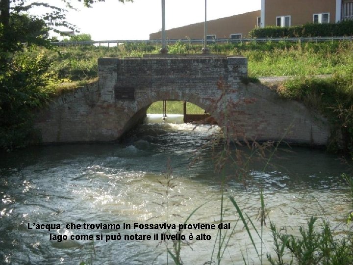 L’acqua che troviamo in Fossaviva proviene dal lago come si può notare il livello
