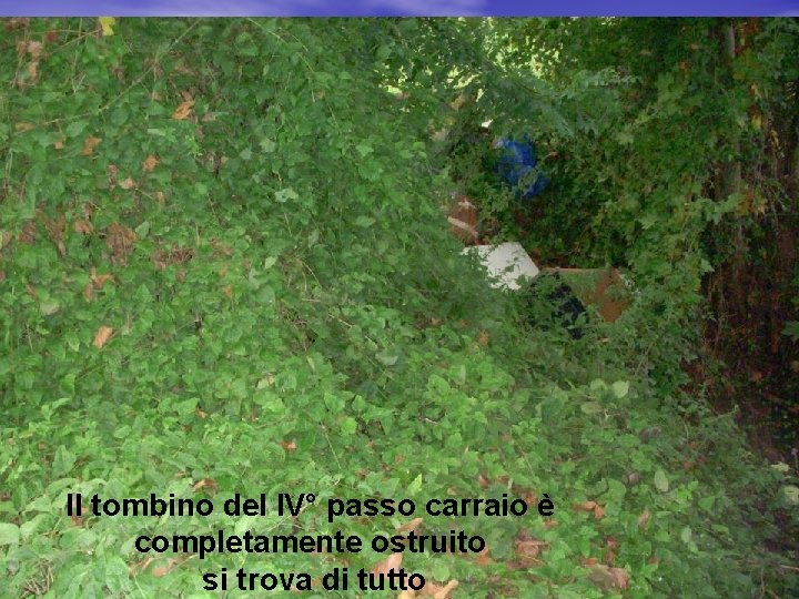 Il tombino del IV° passo carraio è completamente ostruito si trova di tutto 