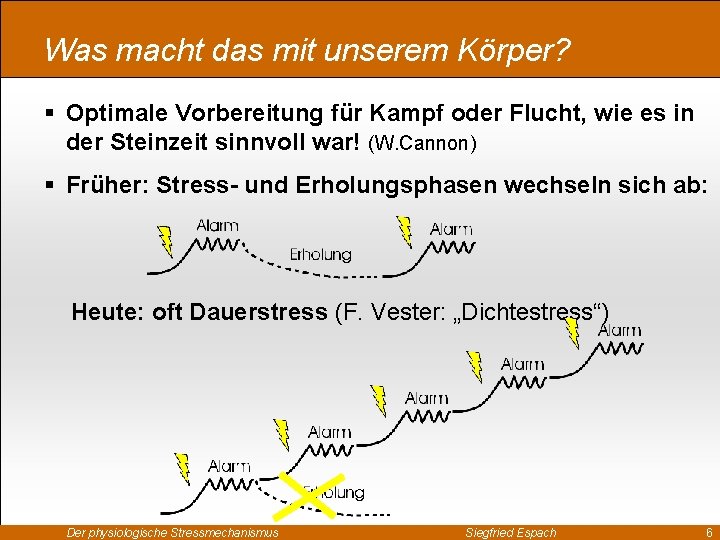 Was macht das mit unserem Körper? § Optimale Vorbereitung für Kampf oder Flucht, wie