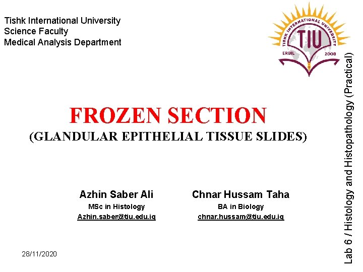 FROZEN SECTION (GLANDULAR EPITHELIAL TISSUE SLIDES) 28/11/2020 Azhin Saber Ali Chnar Hussam Taha MSc