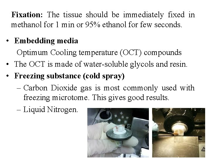 Fixation: The tissue should be immediately fixed in methanol for 1 min or 95%