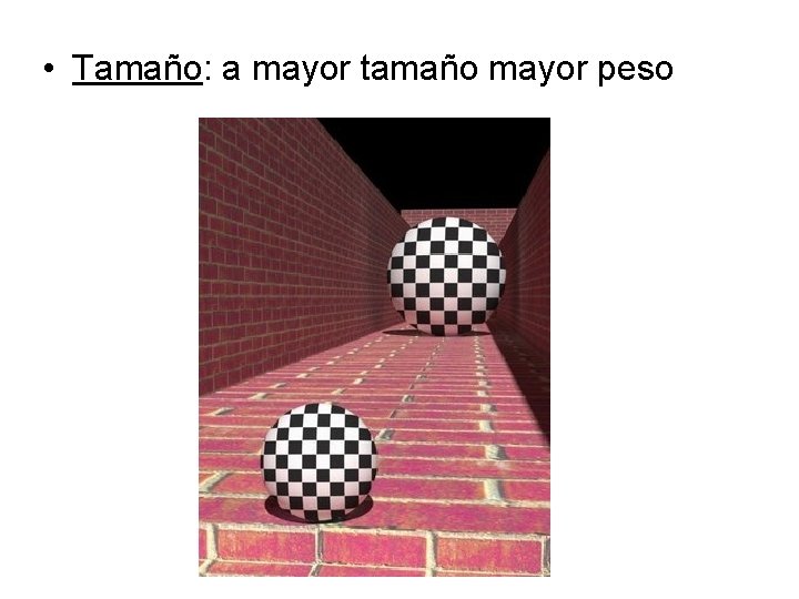  • Tamaño: a mayor tamaño mayor peso 