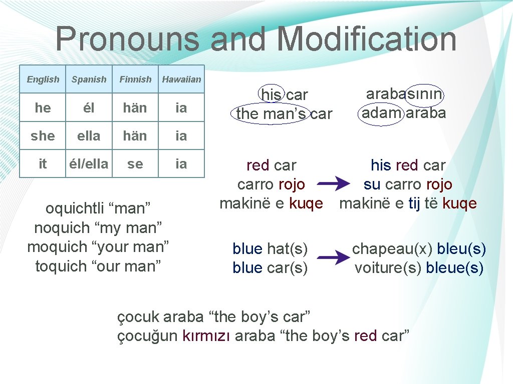 Pronouns and Modification English Spanish Finnish Hawaiian he él hän ia she ella hän
