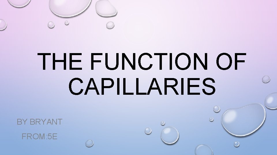 THE FUNCTION OF CAPILLARIES BY BRYANT FROM: 5 E 