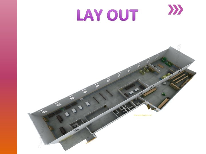 LAY OUT 