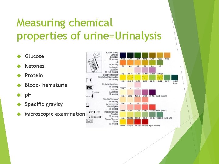 Measuring chemical properties of urine=Urinalysis Glucose Ketones Protein Blood- hematuria p. H Specific gravity