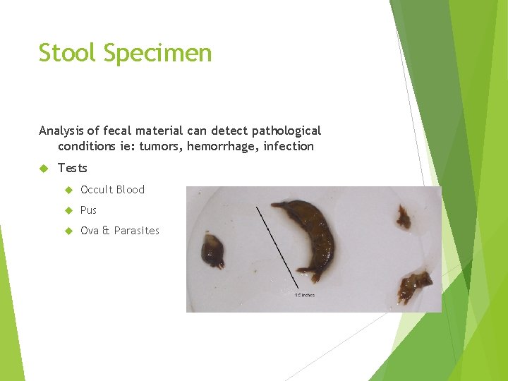 Stool Specimen Analysis of fecal material can detect pathological conditions ie: tumors, hemorrhage, infection