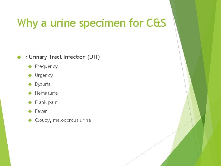 Why a urine specimen for C&S ? Urinary Tract Infection (UTI) Frequency Urgency Dysuria