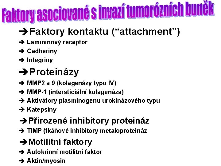 èFaktory kontaktu (“attachment”) è Lamininový receptor è Cadheriny è Integriny èProteinázy è MMP 2