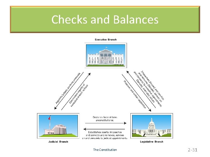 Checks and Balances The Constitution 2 -31 