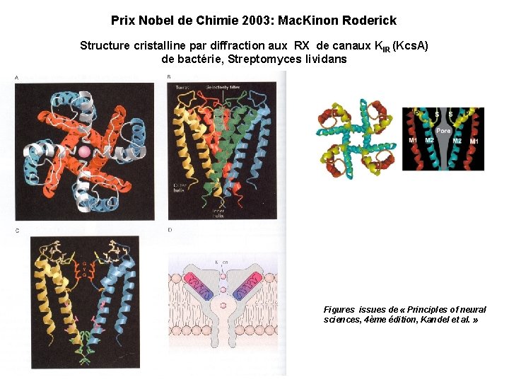 Prix Nobel de Chimie 2003: Mac. Kinon Roderick Structure cristalline par diffraction aux RX