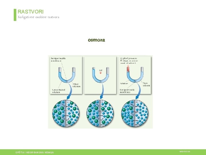 RASTVORI Koligativne osobine rastvora osmoza OPŠTA I NEORGANSKA HEMIJA BIOLOGIJA 