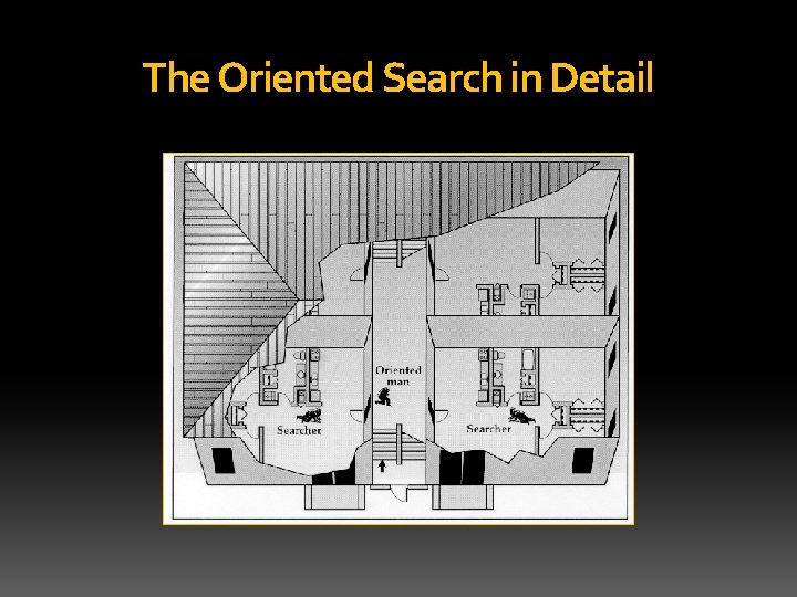 The Oriented Search in Detail 