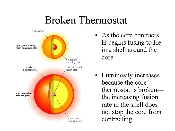 Broken Thermostat • As the core contracts, H begins fusing to He in a