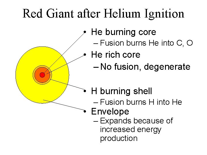 Red Giant after Helium Ignition • He burning core – Fusion burns He into