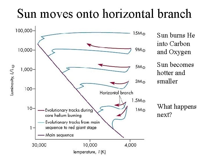 Sun moves onto horizontal branch Sun burns He into Carbon and Oxygen Sun becomes