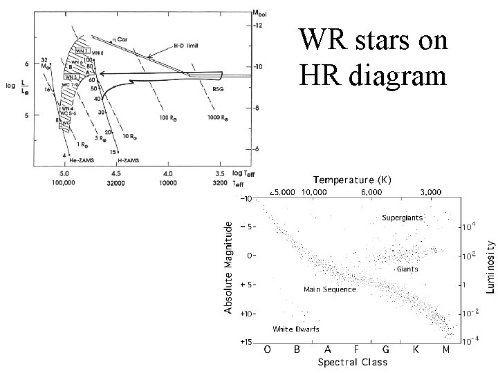 WR stars on HR diagram 