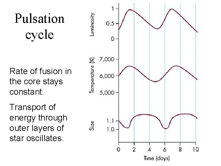 Pulsation cycle Rate of fusion in the core stays constant. Transport of energy through