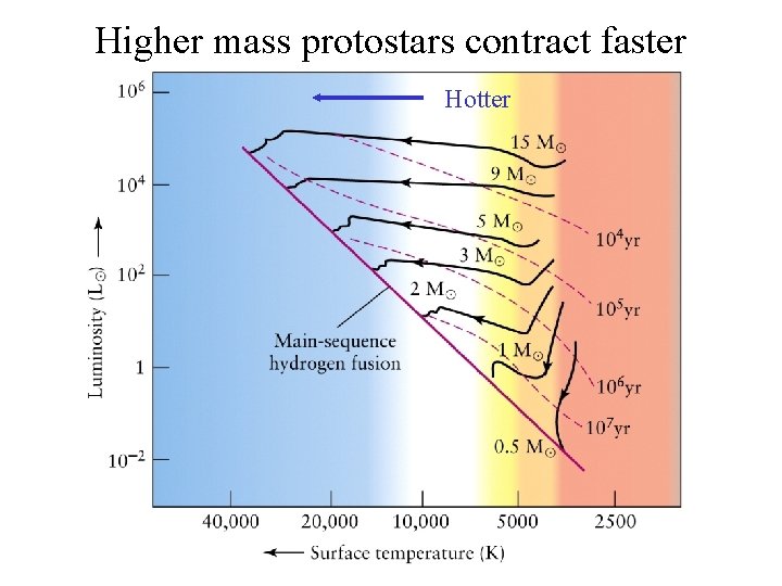 Higher mass protostars contract faster Hotter 