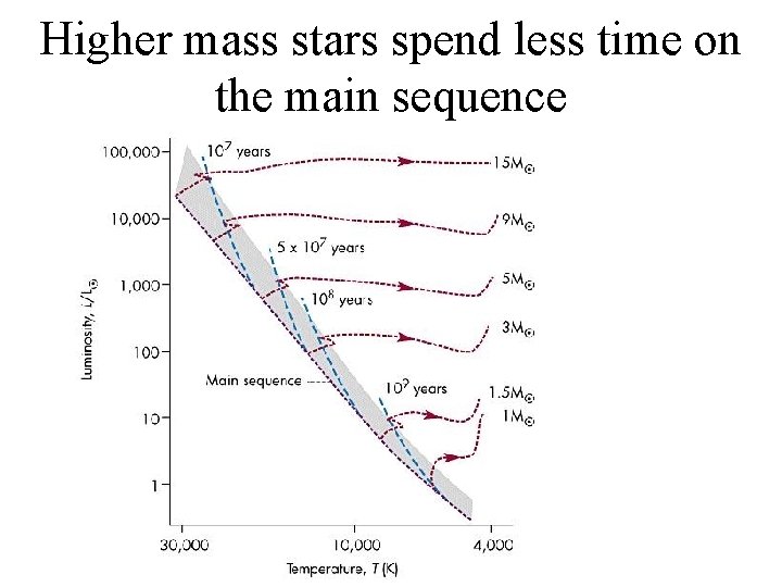 Higher mass stars spend less time on the main sequence 
