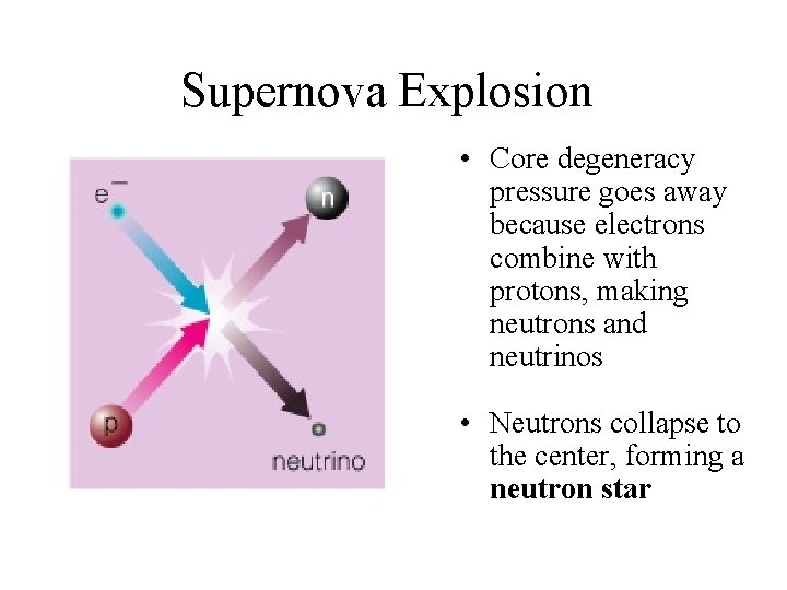 Supernova Explosion • Core degeneracy pressure goes away because electrons combine with protons, making