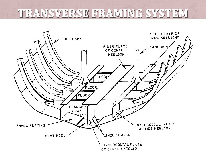 TRANSVERSE FRAMING SYSTEM 