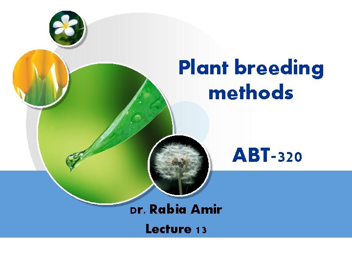 Plant breeding methods ABT-320 Dr. Rabia Amir Lecture 13 LOGO 