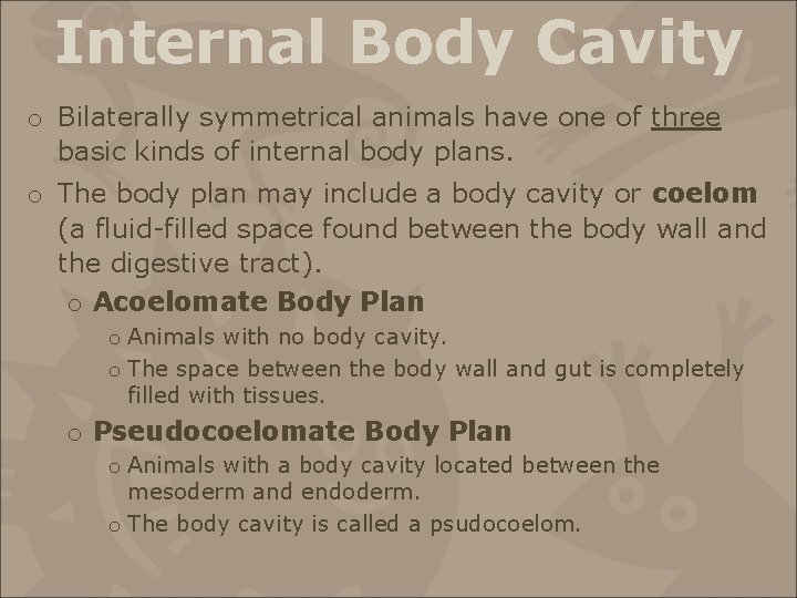 Internal Body Cavity o Bilaterally symmetrical animals have one of three basic kinds of