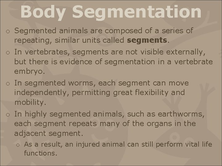 Body Segmentation o Segmented animals are composed of a series of repeating, similar units