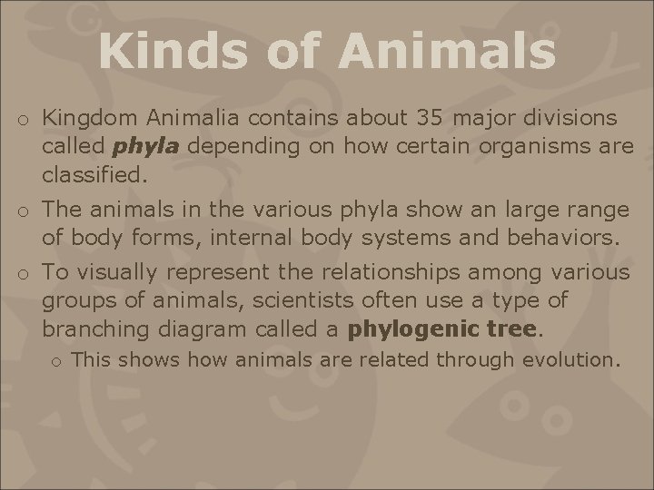 Kinds of Animals o Kingdom Animalia contains about 35 major divisions called phyla depending