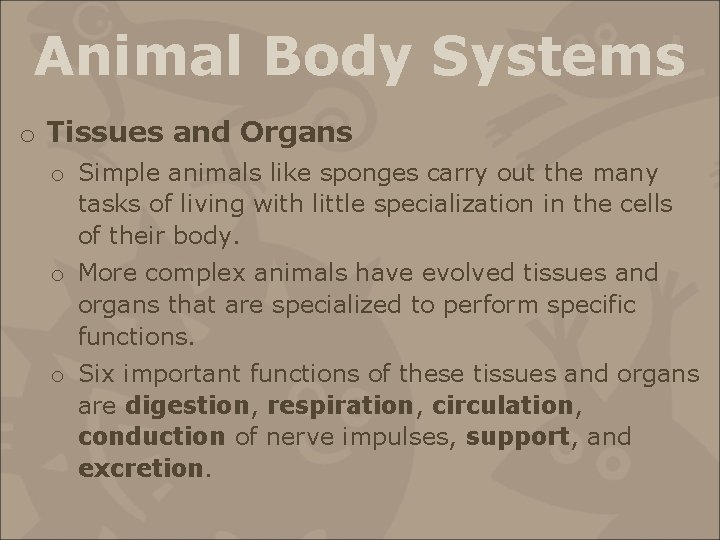 Animal Body Systems o Tissues and Organs o Simple animals like sponges carry out