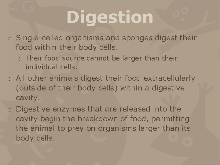 Digestion o Single-celled organisms and sponges digest their food within their body cells. o