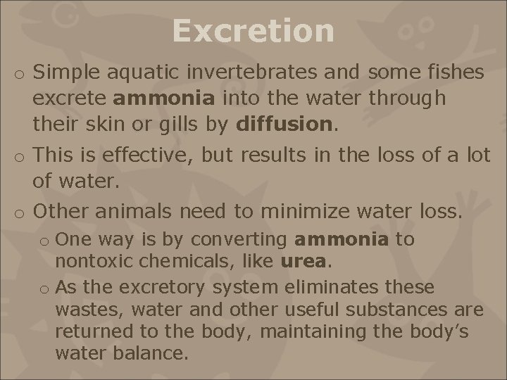 Excretion o Simple aquatic invertebrates and some fishes excrete ammonia into the water through