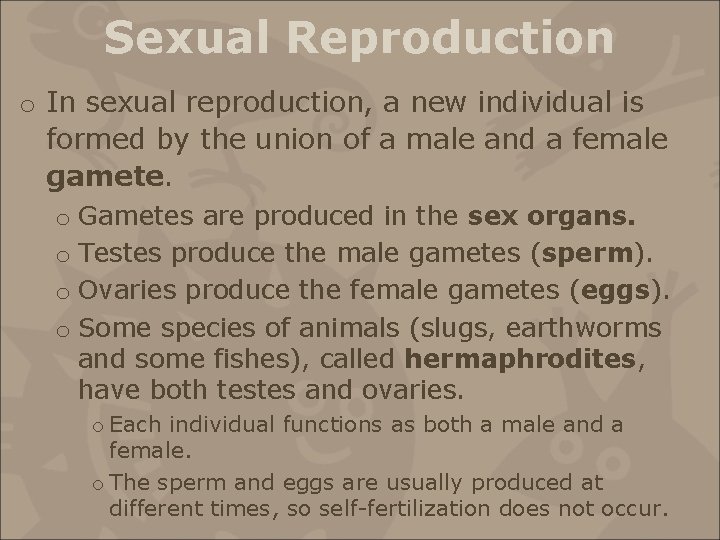 Sexual Reproduction o In sexual reproduction, a new individual is formed by the union