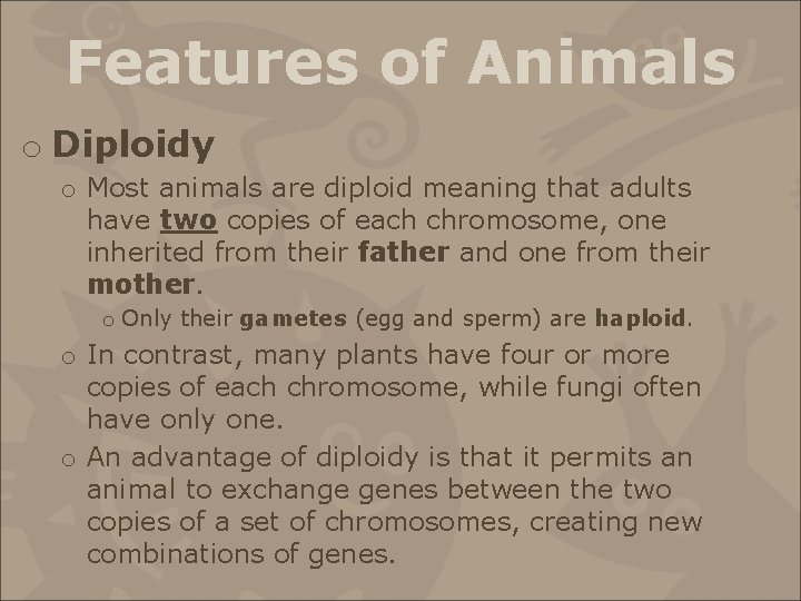 Features of Animals o Diploidy o Most animals are diploid meaning that adults have