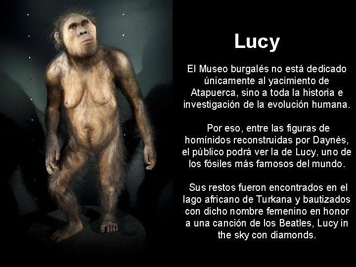 Lucy El Museo burgalés no está dedicado únicamente al yacimiento de Atapuerca, sino a