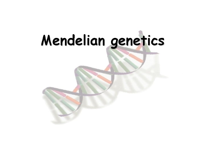 Mendelian genetics 