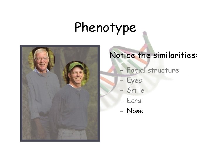 Phenotype Notice the similarities: – – – Facial structure Eyes Smile Ears Nose 