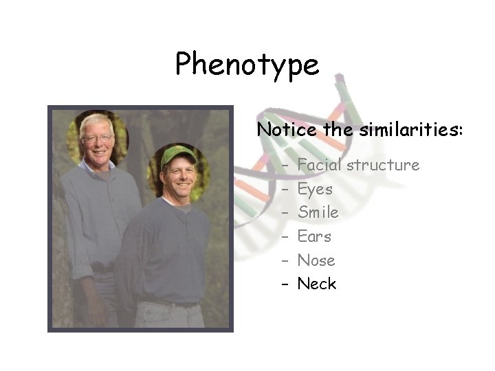 Phenotype Notice the similarities: – – – Facial structure Eyes Smile Ears Nose Neck